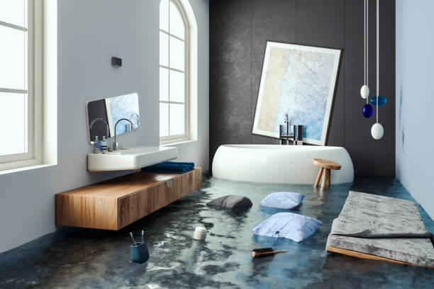 Best Professional water damage repair  in Chubbuck, ID