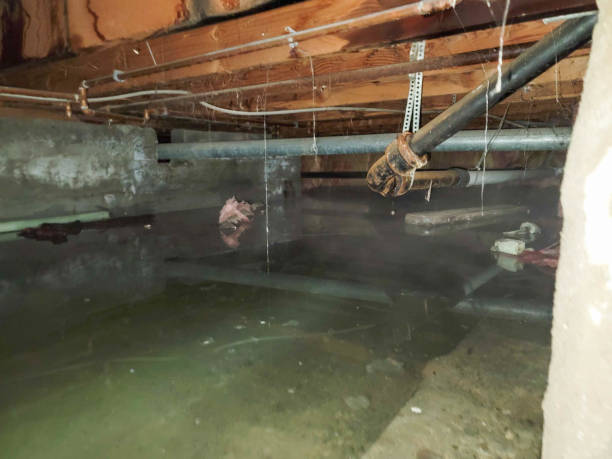 24/7 water damage repair in Chubbuck, ID