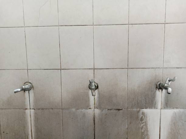 Best Water damage restoration mold remediation  in Chubbuck, ID