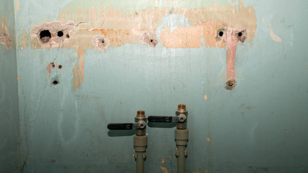 Best Ceiling water damage repair  in Chubbuck, ID