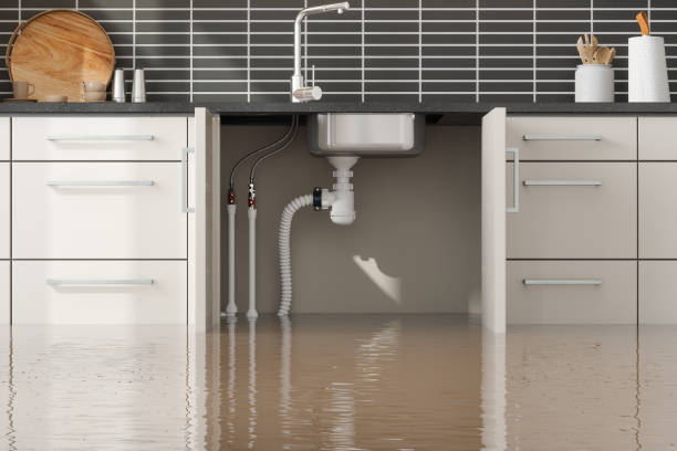 Water damage restoration mold remediation in Chubbuck, ID