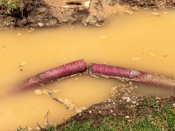 Best Basement water damage restoration  in Chubbuck, ID